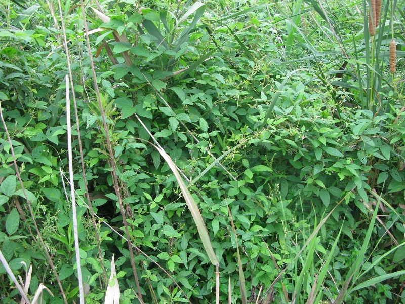 d0333943_20000535.jpg