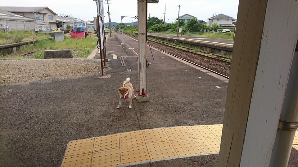 トワイライトエクスプレス瑞風（写真）_c0349649_02225179.jpg