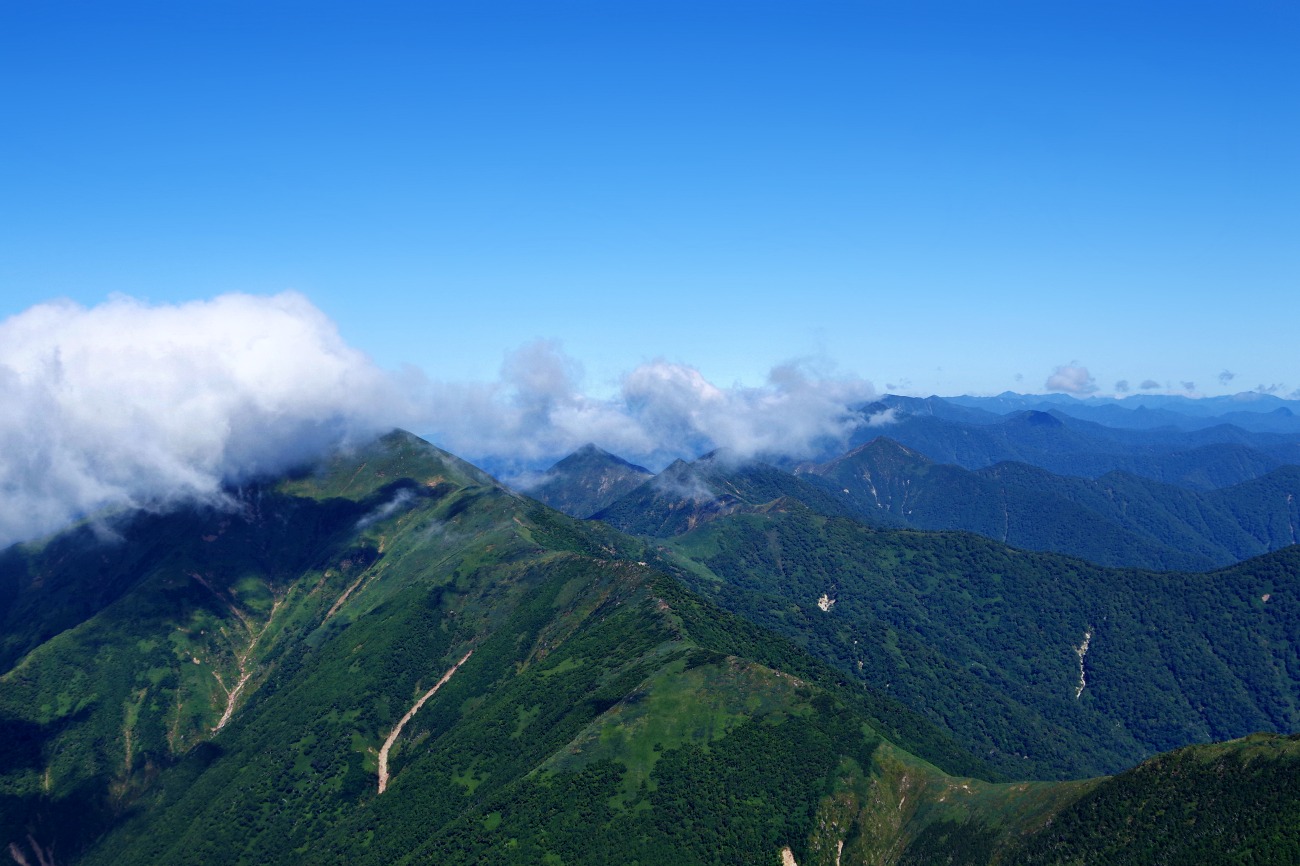 e0105954_12484415.jpg