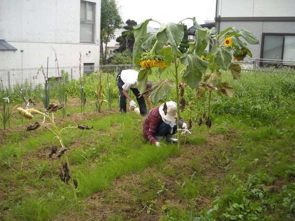 調理実習・農作業 9月_a0115956_14383713.jpg
