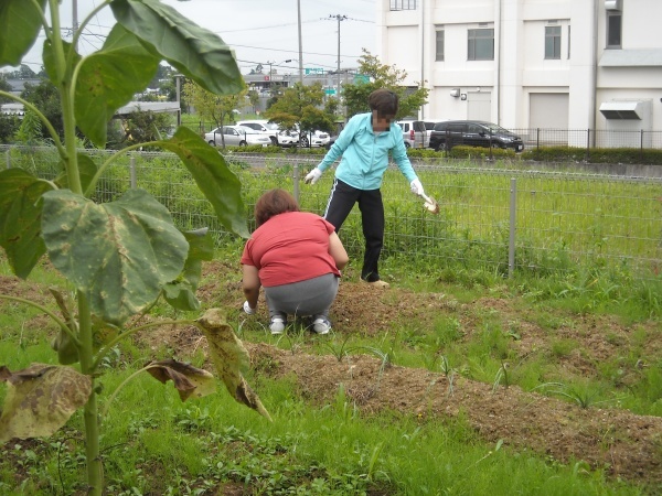 調理実習・農作業 9月_a0115956_14385706.jpg