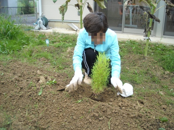 調理実習・農作業 9月_a0115956_14395415.jpg