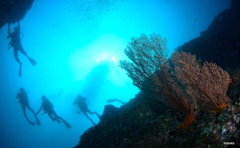 青い海☆みなべ・田辺_e0158261_7432729.jpg