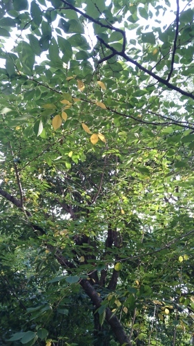f0256164_11304554.jpg