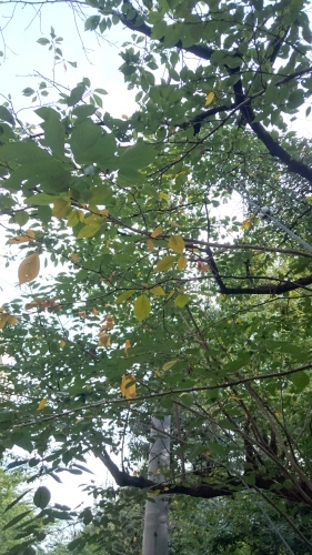 f0256164_11313897.jpg