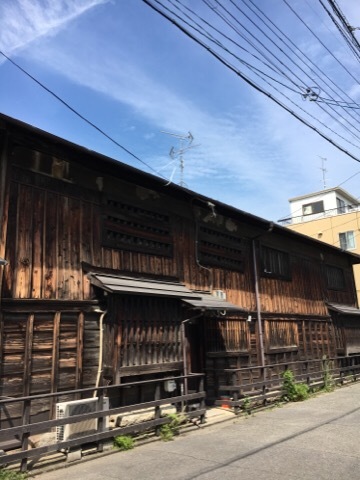 涼しくなると…鼻炎_f0363168_16084953.jpg