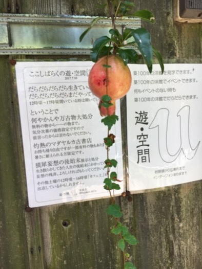 涼しくなると…鼻炎_f0363168_16090218.jpg