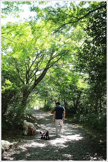 三重県民の森 うちにかえろう 三重県民の森 うちにかえろう