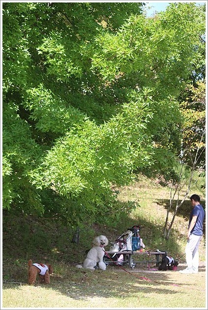 三重県民の森 うちにかえろう 三重県民の森 うちにかえろう