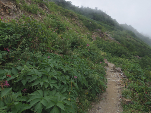 白山登山（エコーライン）_c0051781_19302384.jpg