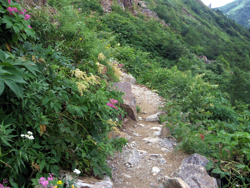 白山登山（エコーライン）_c0051781_1937223.jpg