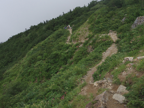 白山登山（エコーライン）_c0051781_19384365.jpg