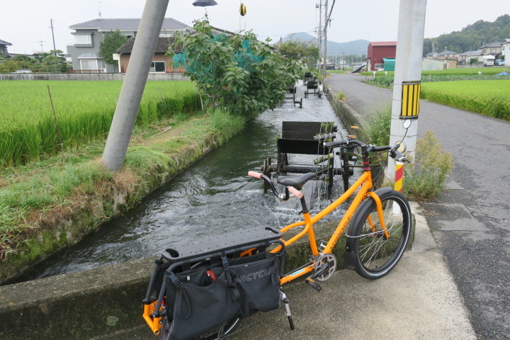 雨上がりの今朝は_c0132901_20351655.jpg