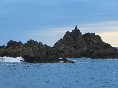 浦佐地域広域協定 視察研修で佐渡へ! 道中編②_c0336902_07470902.jpg