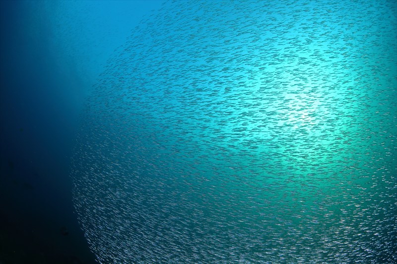 b0110406_13185912.jpg