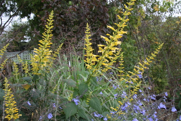 a0139007_13451600.jpg