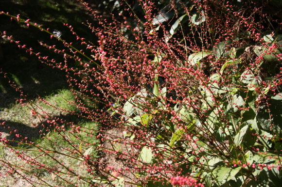 a0139007_13454789.jpg