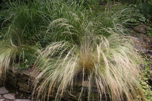 a0139007_13455610.jpg