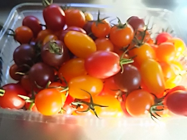 f0316507_17155359.jpg