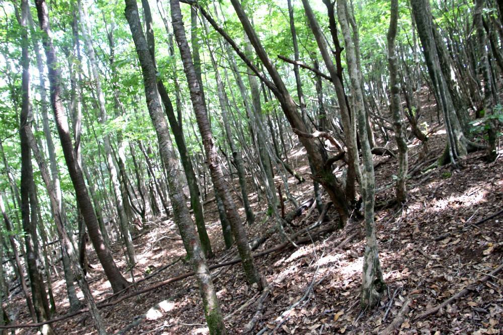 f0212511_22524376.jpg