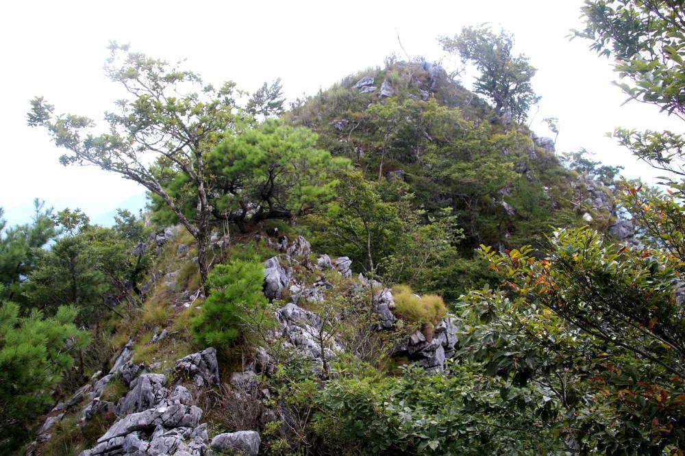 f0212511_22543683.jpg