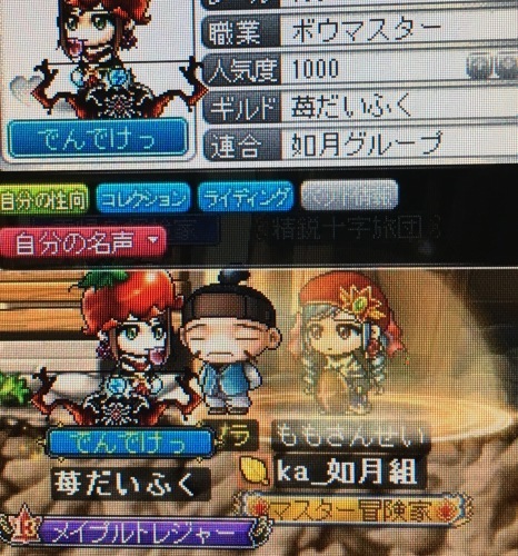 b0048413_16502222.jpeg