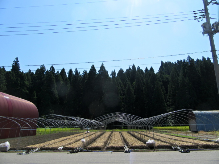 f0067514_21010670.jpg