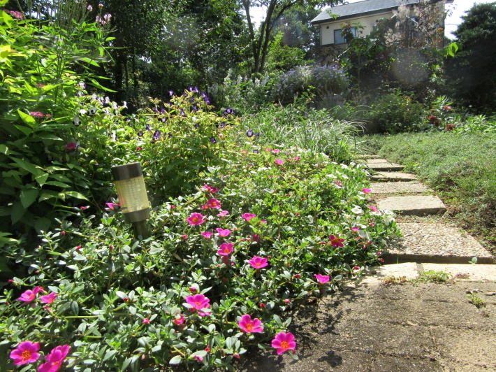f0067514_21202718.jpg