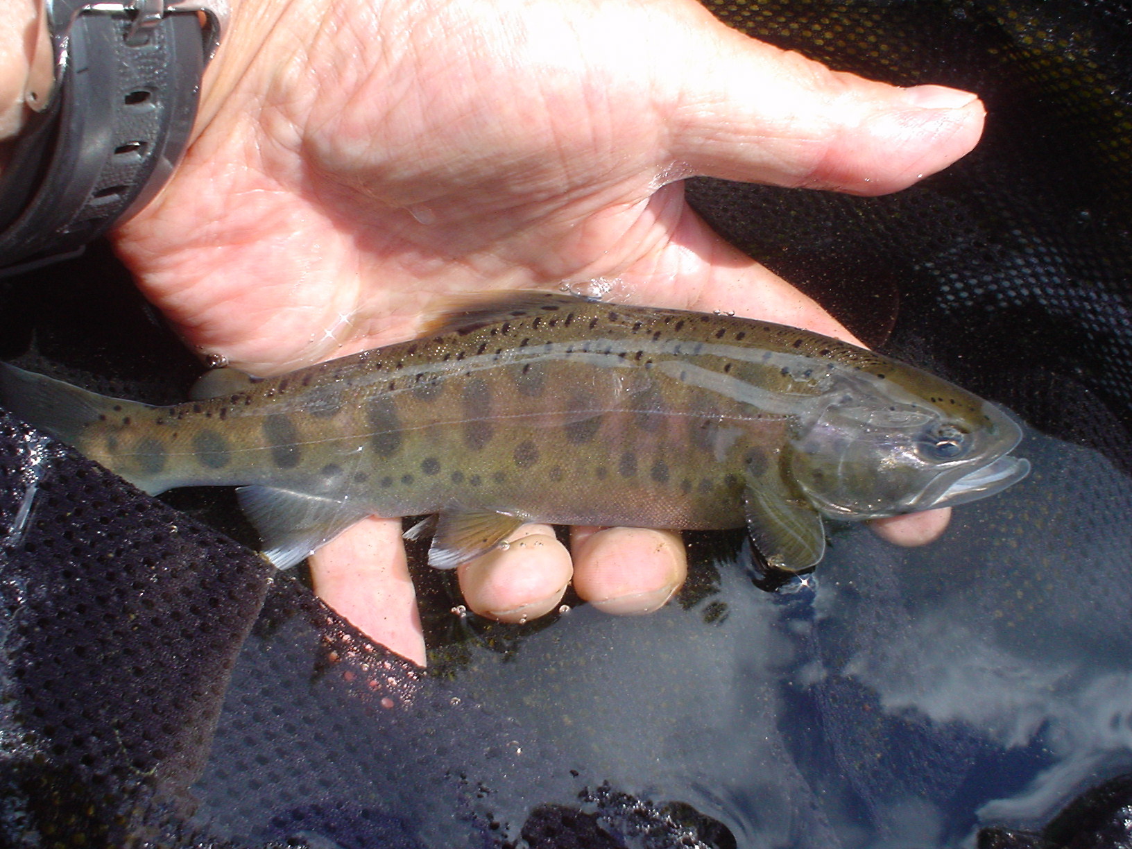 f0280717_14392235.jpg