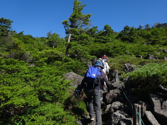 c0141223_18194691.jpg