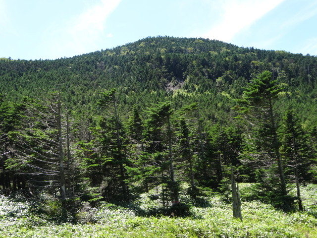 c0141223_18291844.jpg