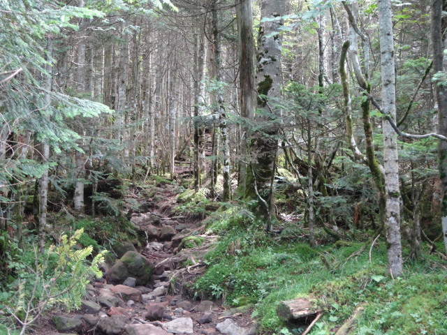 c0141223_18465571.jpg