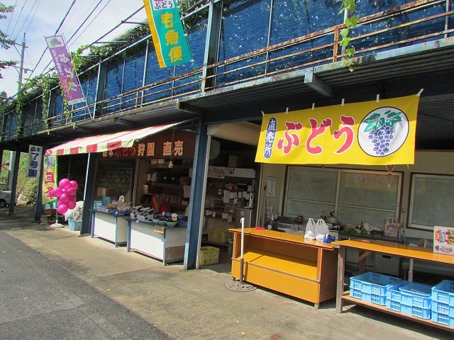 青蓮寺湖ぶどう狩りの旅_e0321325_16571097.jpg