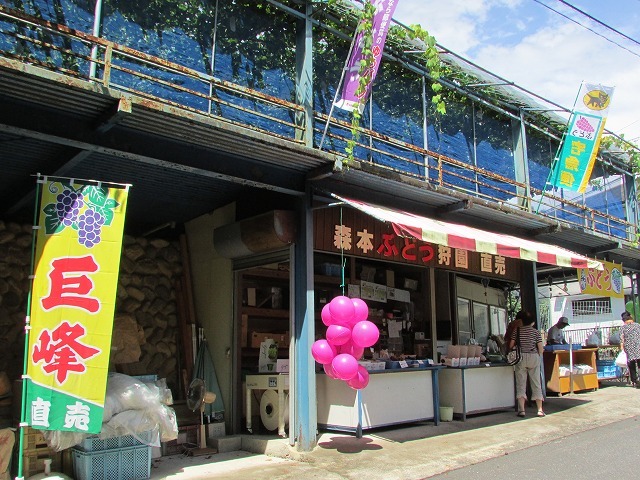 青蓮寺湖ぶどう狩りの旅_e0321325_17234153.jpg