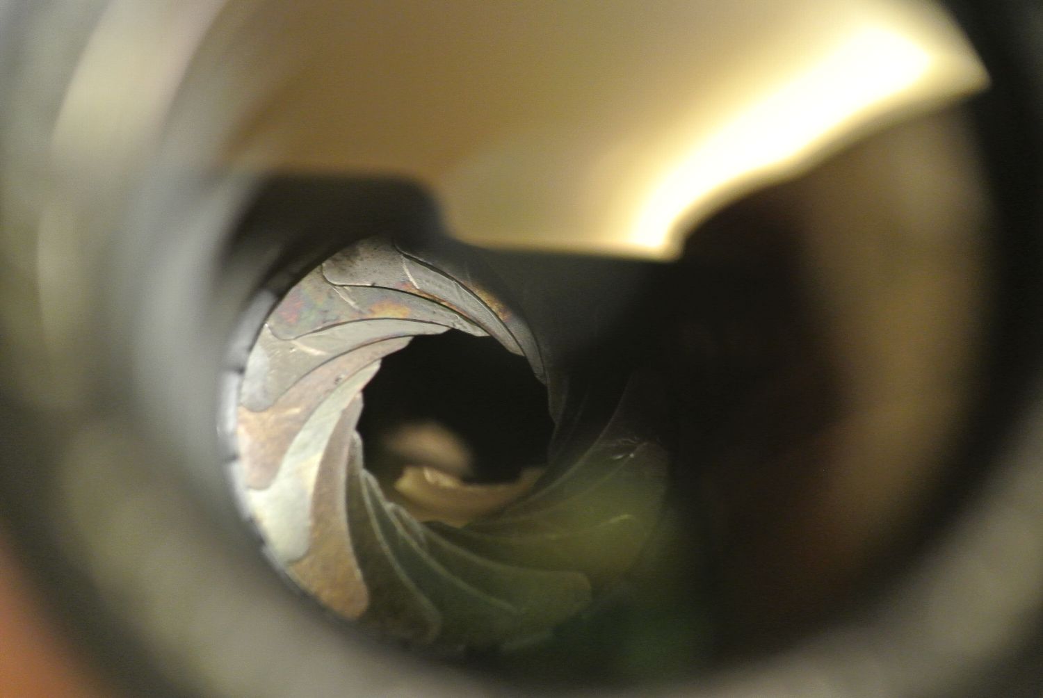 b0069128_8405234.jpg