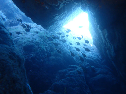 d0164831_16141116.jpg