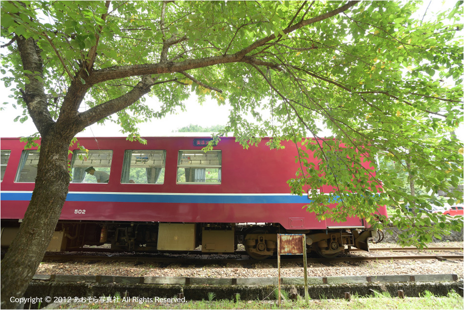 青春50きっぷ・夏旅♯5（長良川鉄道）_e0272231_13571212.jpg