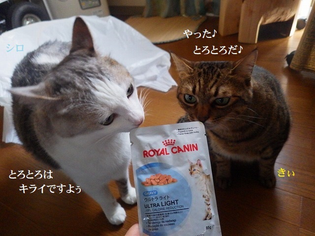 a0337237_13534424.jpg