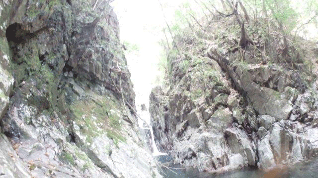 e0371039_781353.gif
