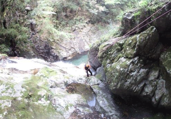 e0371039_78246.gif