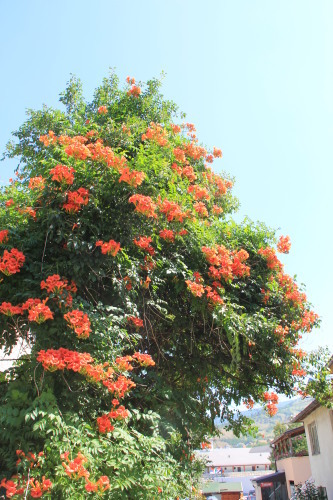 c0011649_00474463.jpg