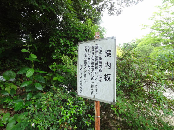 e0033751_15264918.jpg
