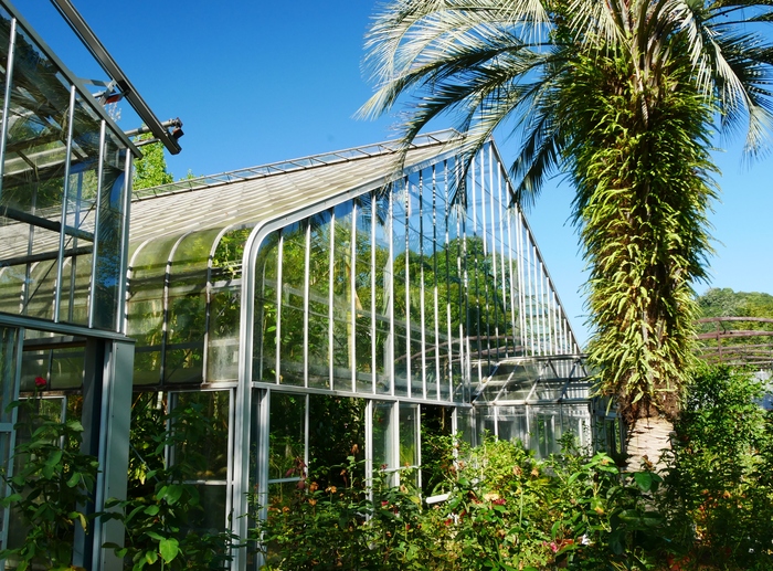 　　和歌山県植物公園緑花センター 　　_b0093754_20422729.jpg