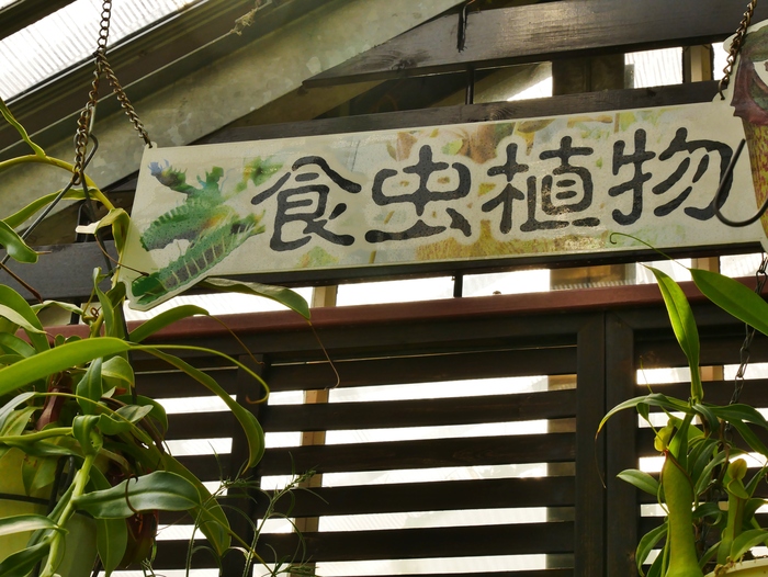 　　和歌山県植物公園緑花センター 　　_b0093754_20433663.jpg