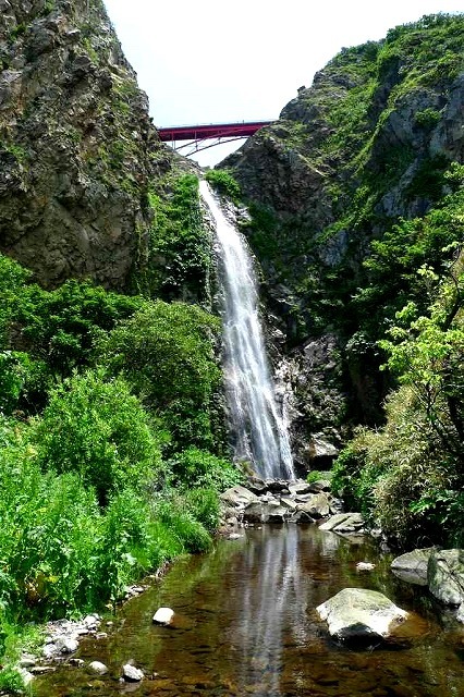 c0119160_21062361.jpg