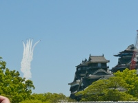 a0331562_1639291.png