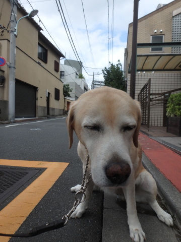 三泊四日の父娘暮らしの三日目_f0052277_01001761.jpg