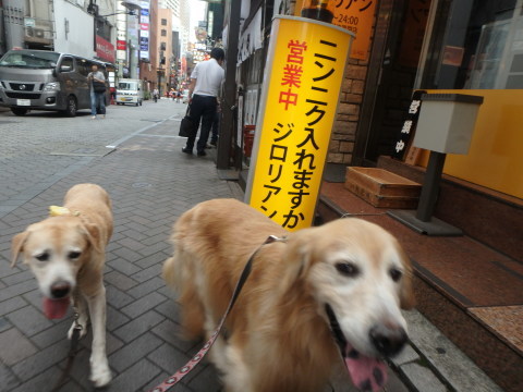 三泊四日の父娘暮らしの三日目_f0052277_01080378.jpg