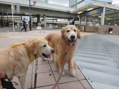 三泊四日の父娘暮らしの三日目_f0052277_01163839.jpg