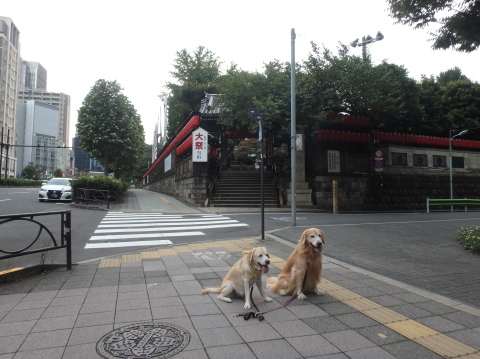 三泊四日の父娘暮らしの三日目_f0052277_01171608.jpg